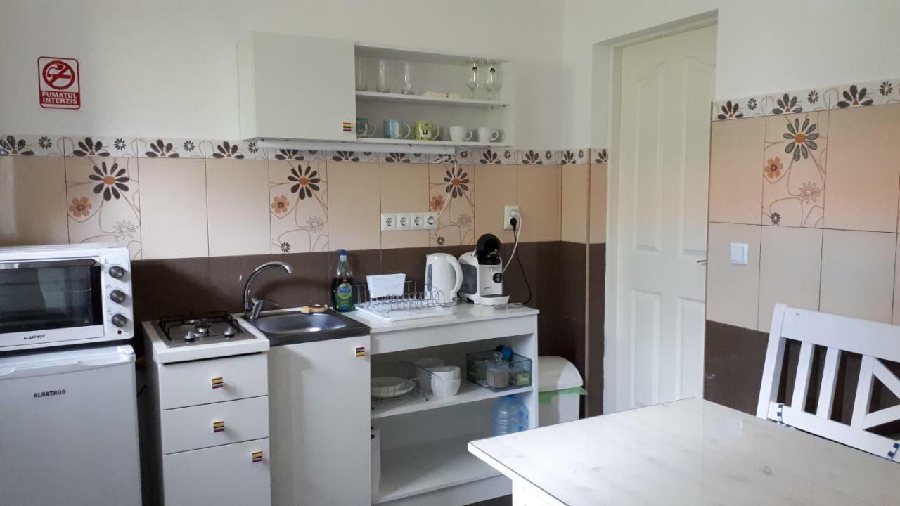 City Center Minimalist Apartment Oradea Ngoại thất bức ảnh